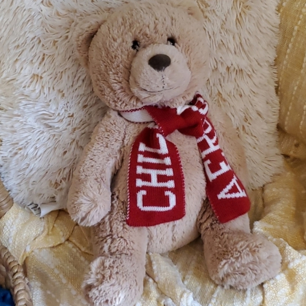 Aeropostale Plush Tan Teddy Bear w/ CHILL AERO Scarf Stuffed Animal